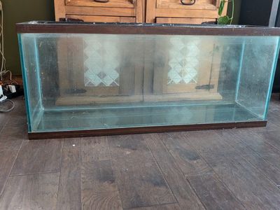 55 gallon tank (sale or trade)