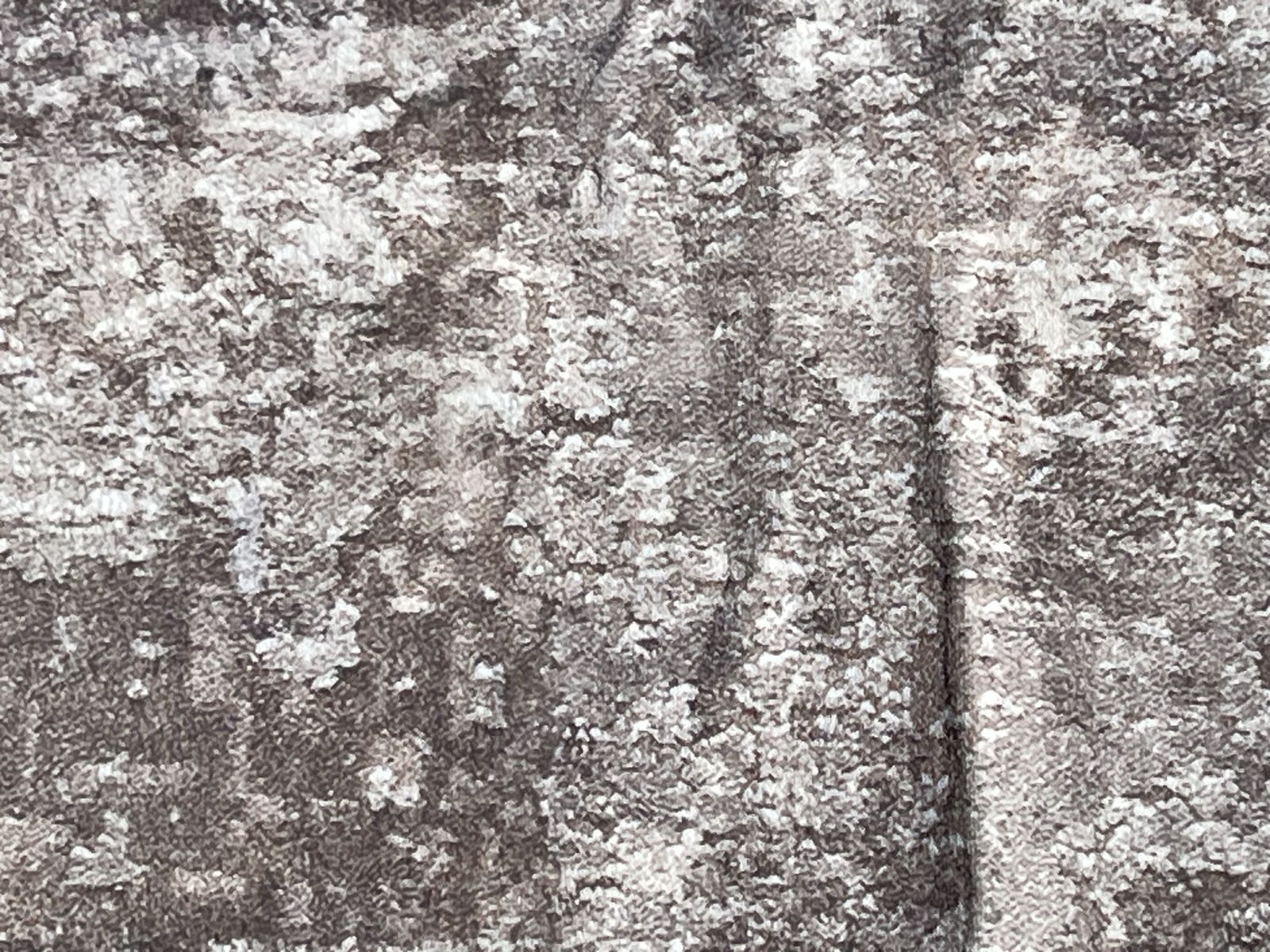 Main image 7
