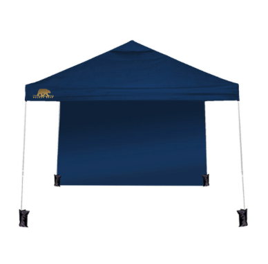 Golden Bear Newport 10’x10’ Straight-Leg Canopy with Back Wall  NEW