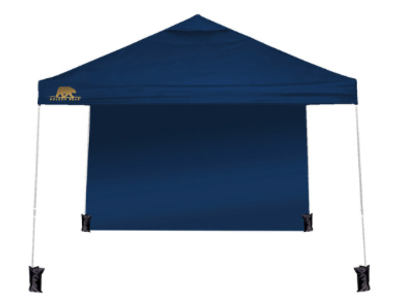 Golden Bear Newport 10’x10’ Straight-Leg Canopy with Back Wall NEW