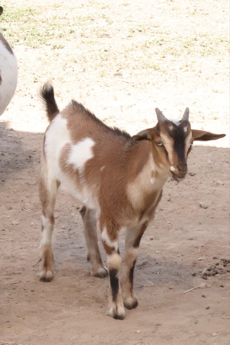 Main image 4