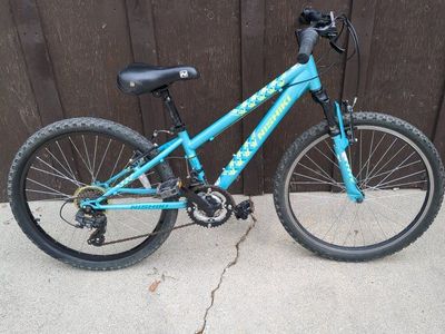 Nishiki Pueblo 24" kids bike