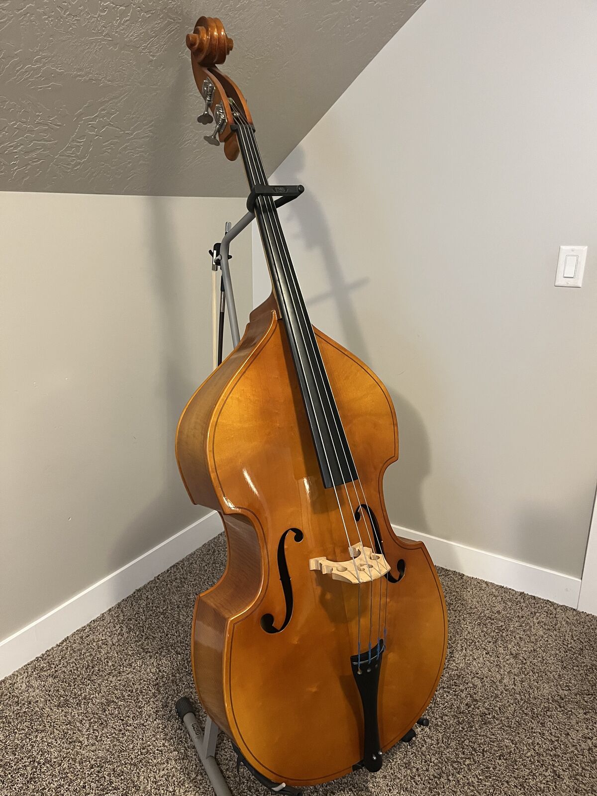 String Bass