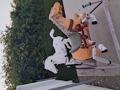 Radio Flyer
