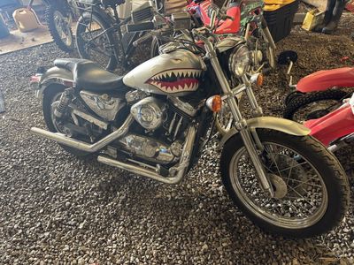 Harley sportster