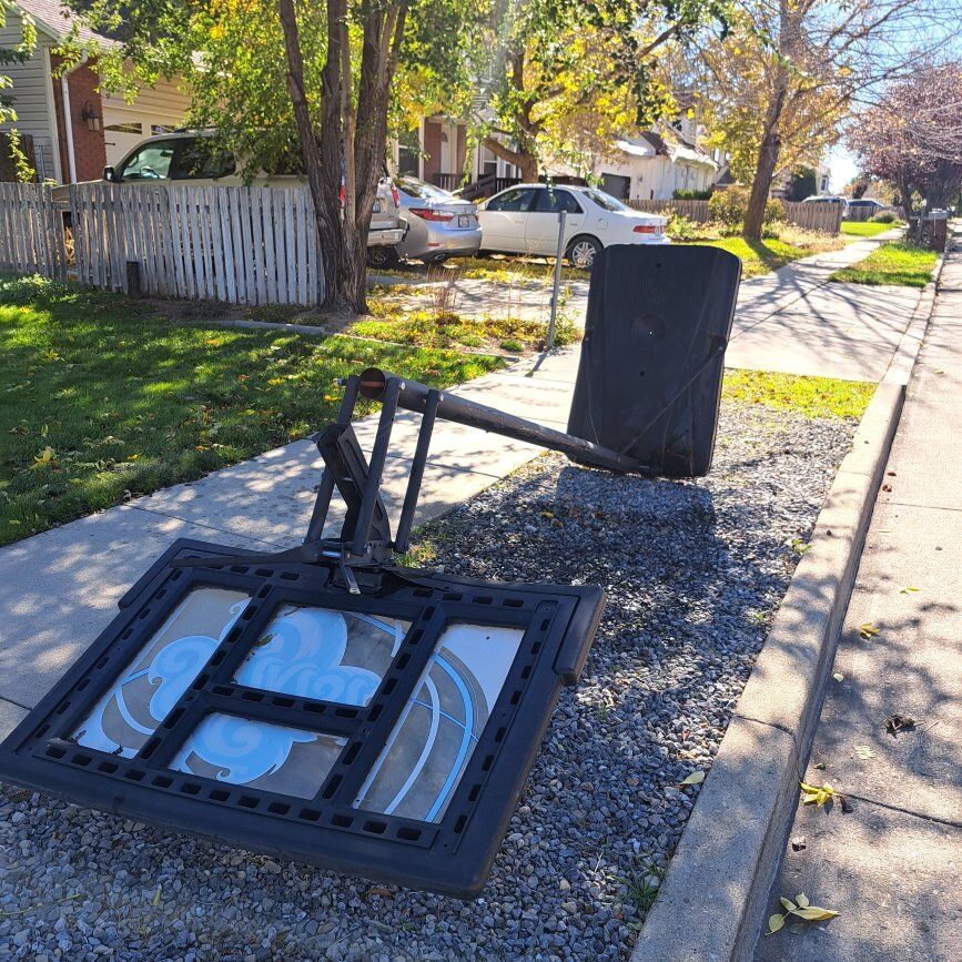 Sunkist basketball hoop