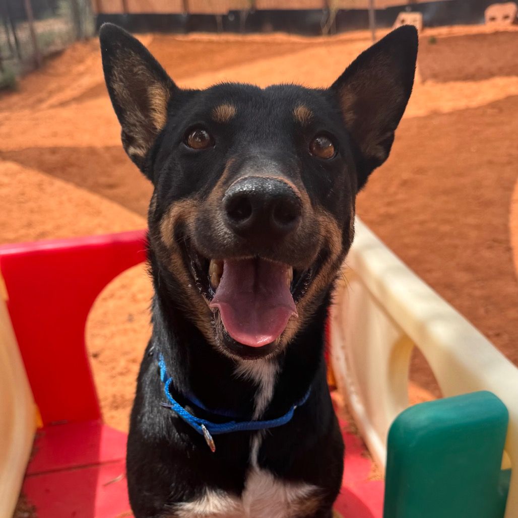 Hello my name is Kona