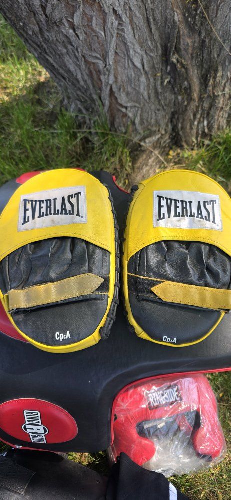 Everlast boxing pads