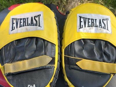 Everlast boxing pads