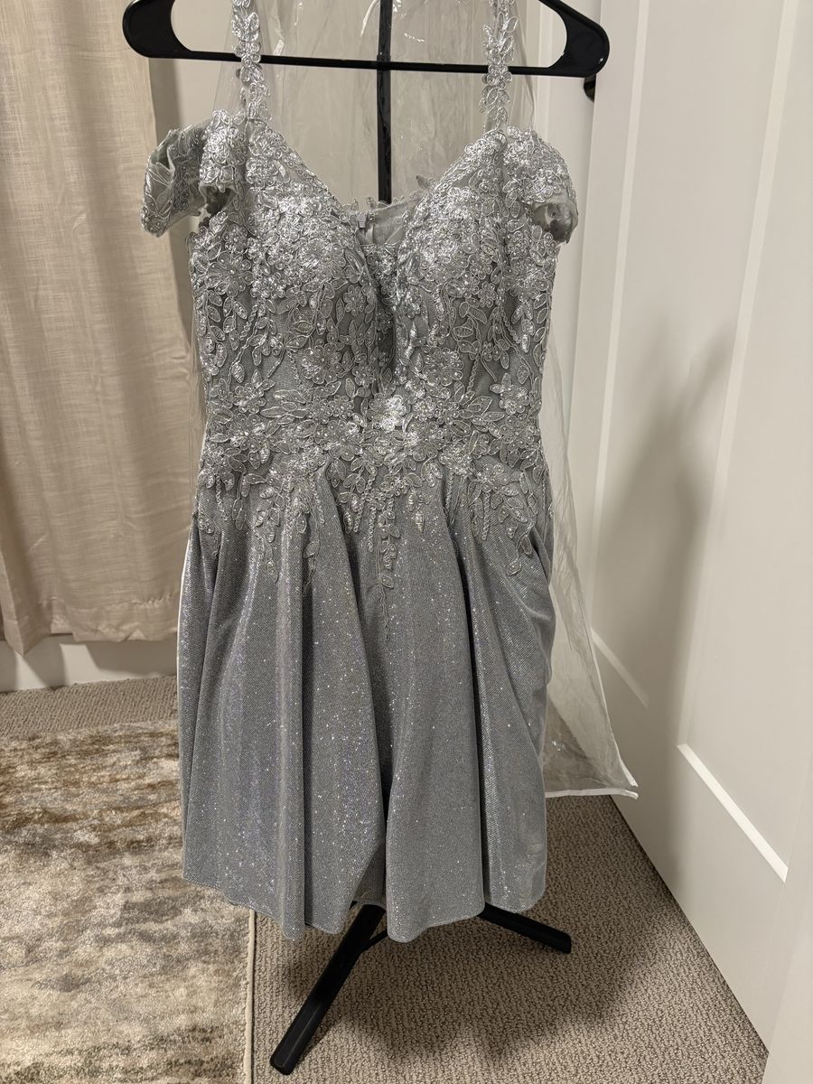 Short silver formal dress small