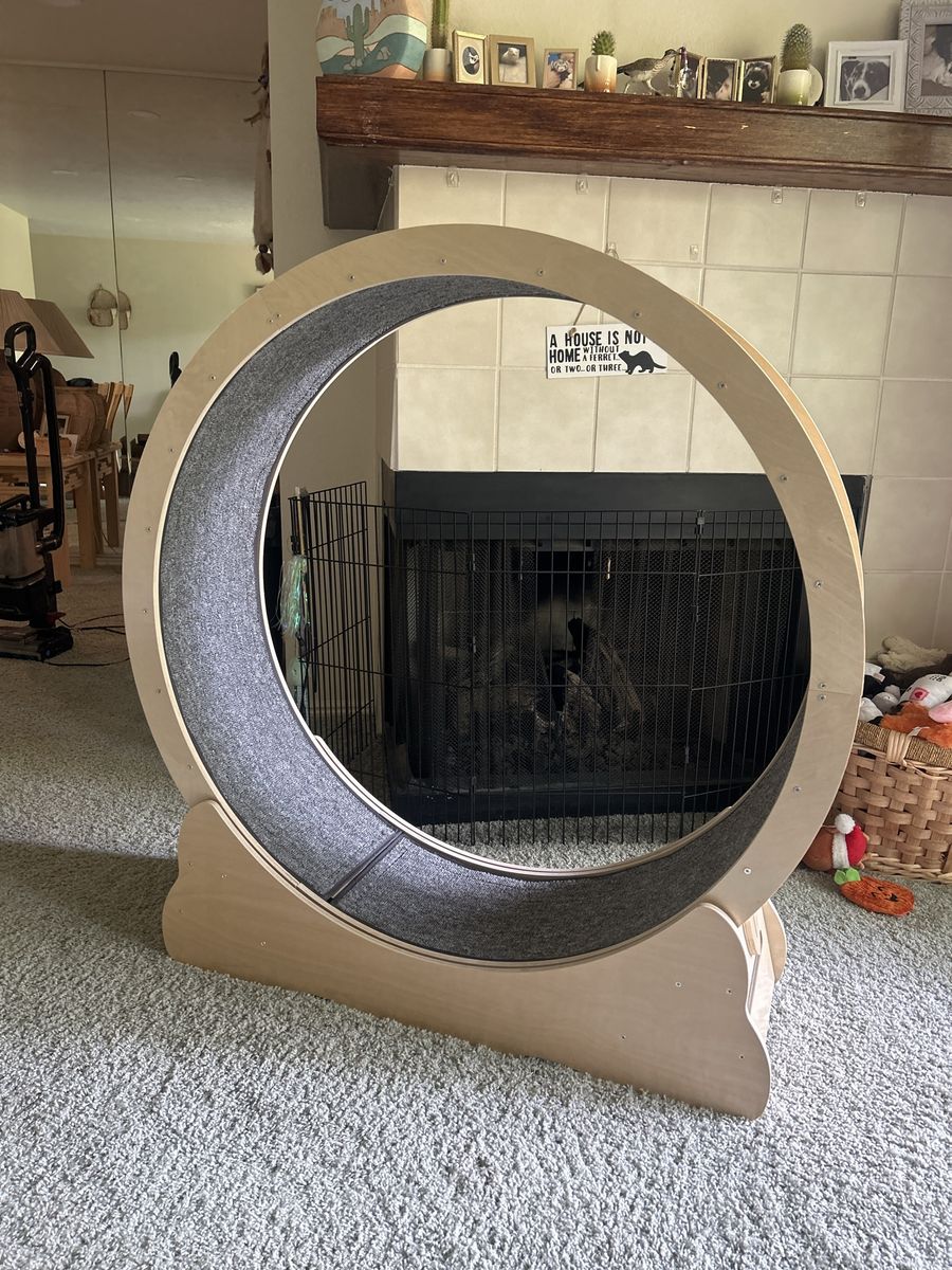 Wooden Pet Exercise Wheel with Grey Carpet Tread