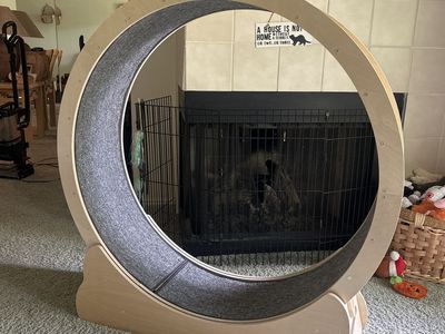 Wooden Pet Exercise Wheel with Grey Carpet Tread