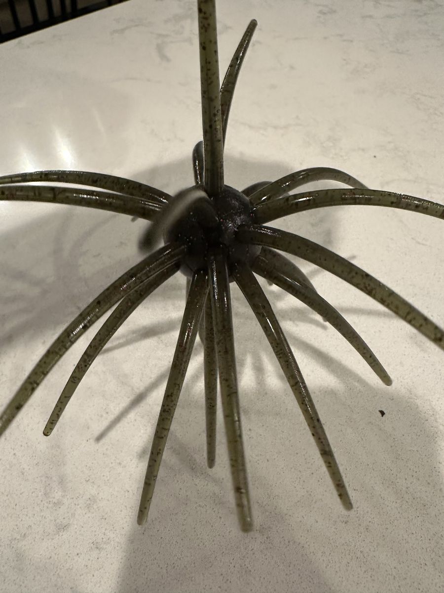 Urchin bait