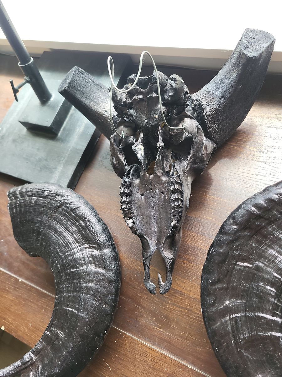 Main image 4