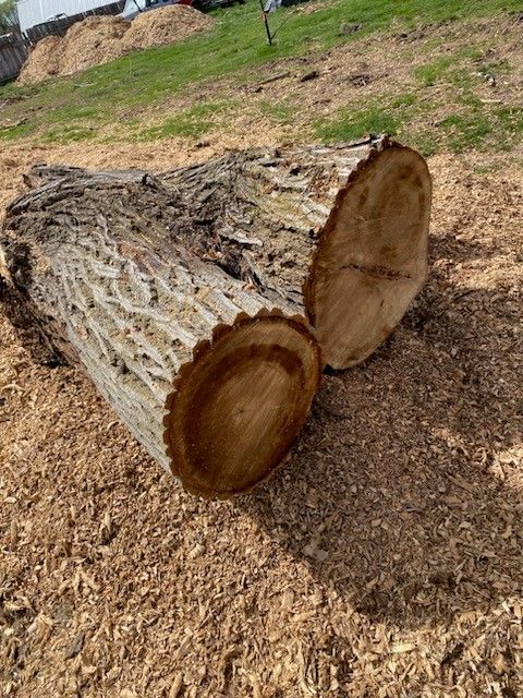 Free Firewood & Wood Chips