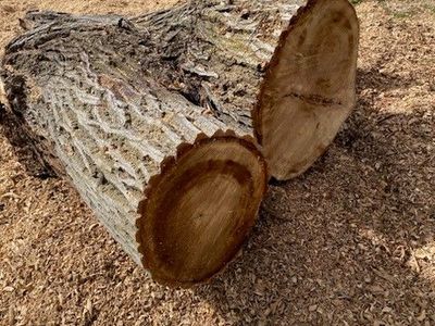 Free Firewood & Wood Chips