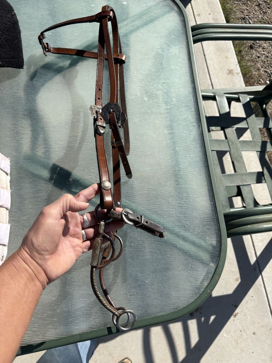 Fancy Headstall