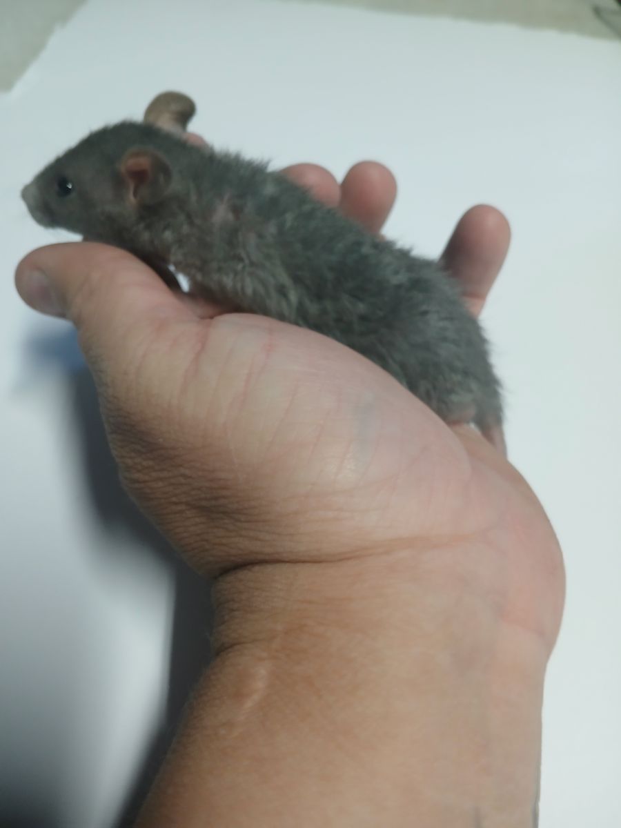 Main image 4