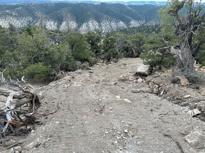 ️ 20.00 Acres with Road Access – Secluded Ridge-Top Views!