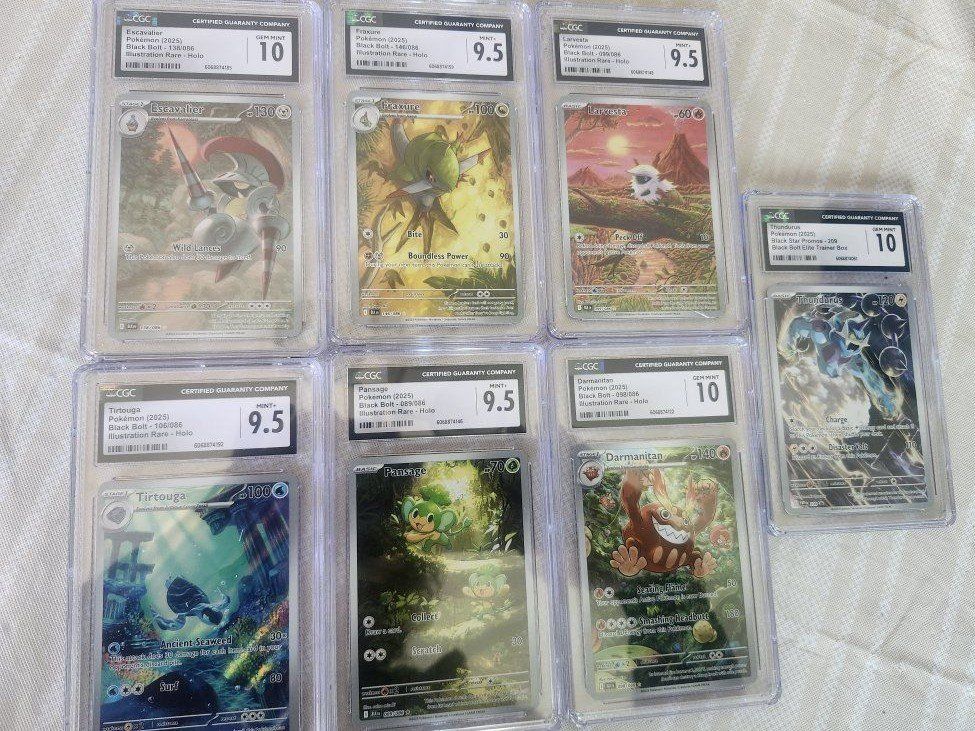 pokemon Black Bolt graded cards