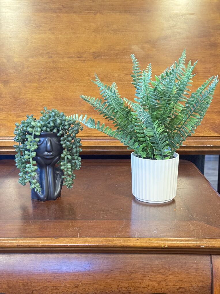 2-set Artificial Plants