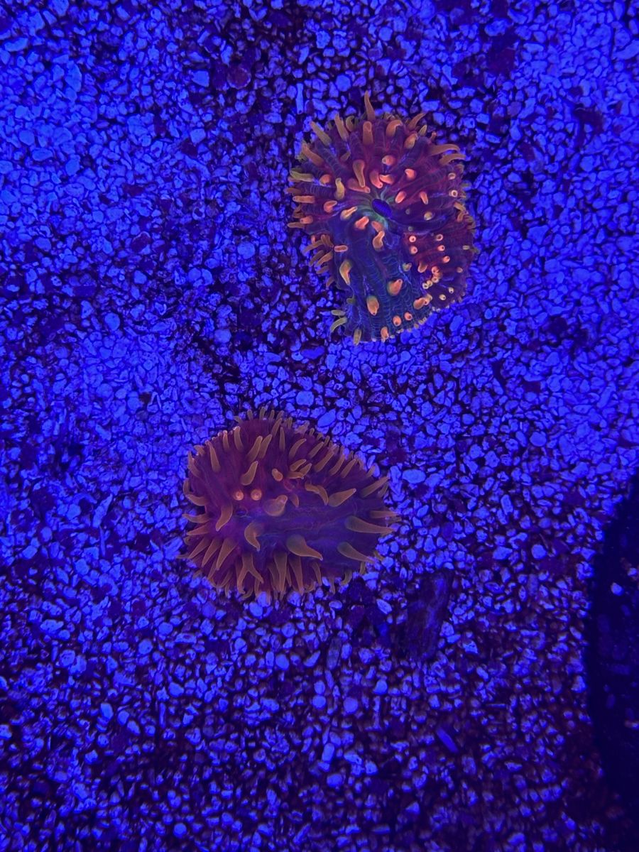 Main image 3