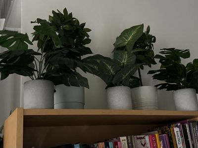 Artificial Potted Plants - Variety of Faux Greenery in Decorative Pots