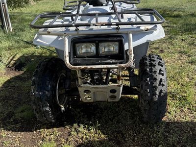 1996 Yamaha Timberwolf 250