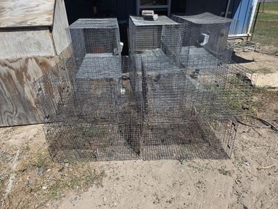 Rabbit cages