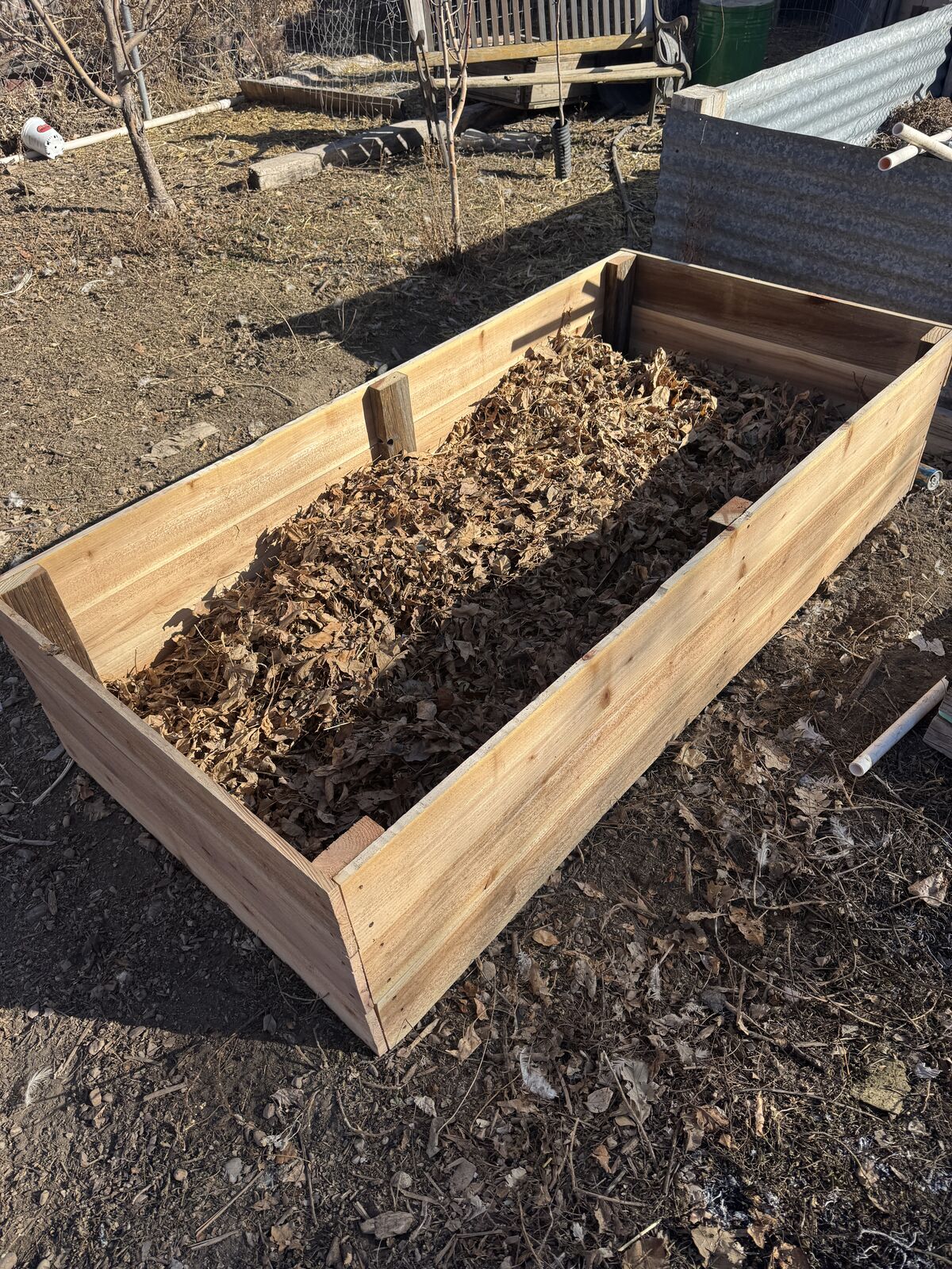 Cedar raised garden beds.