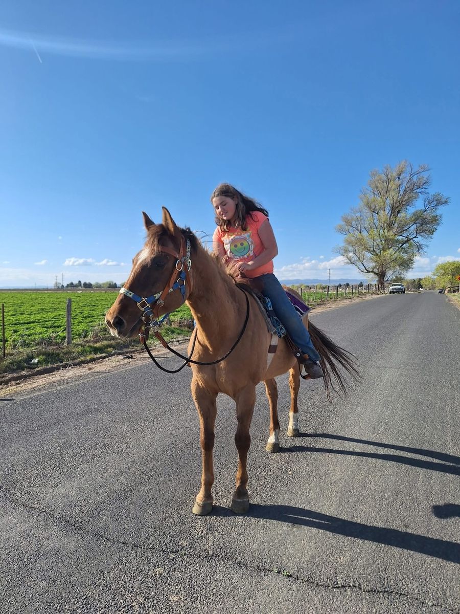 Dun mare