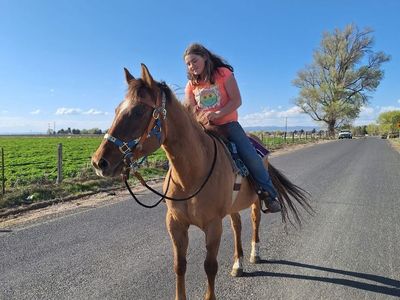 Dun mare