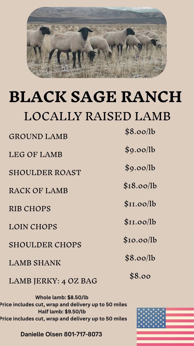 Lamb