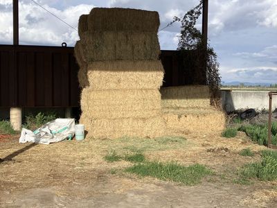 Barn Stored Alfalfa