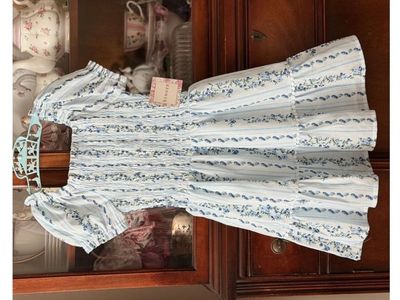 Brand new white with blue florals smocked puffed sleeve dress size 6X