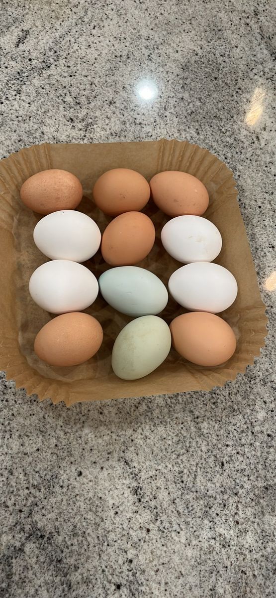 Fresh Eggs