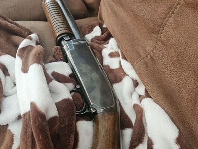Shotgun