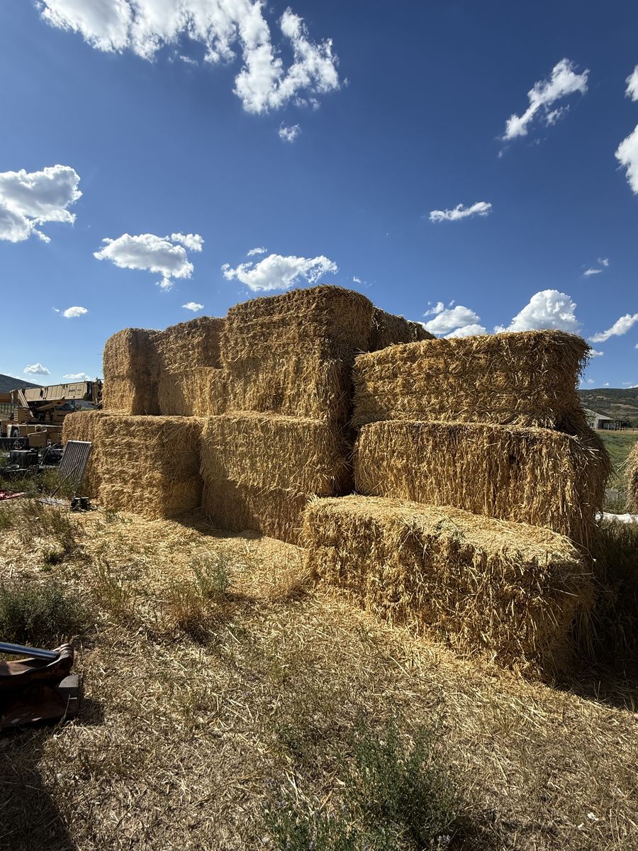 Feeder Hay - oat/grass mix