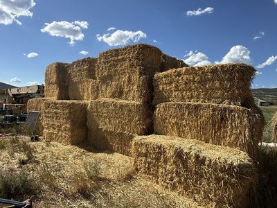 Feeder Hay - oat/grass mix