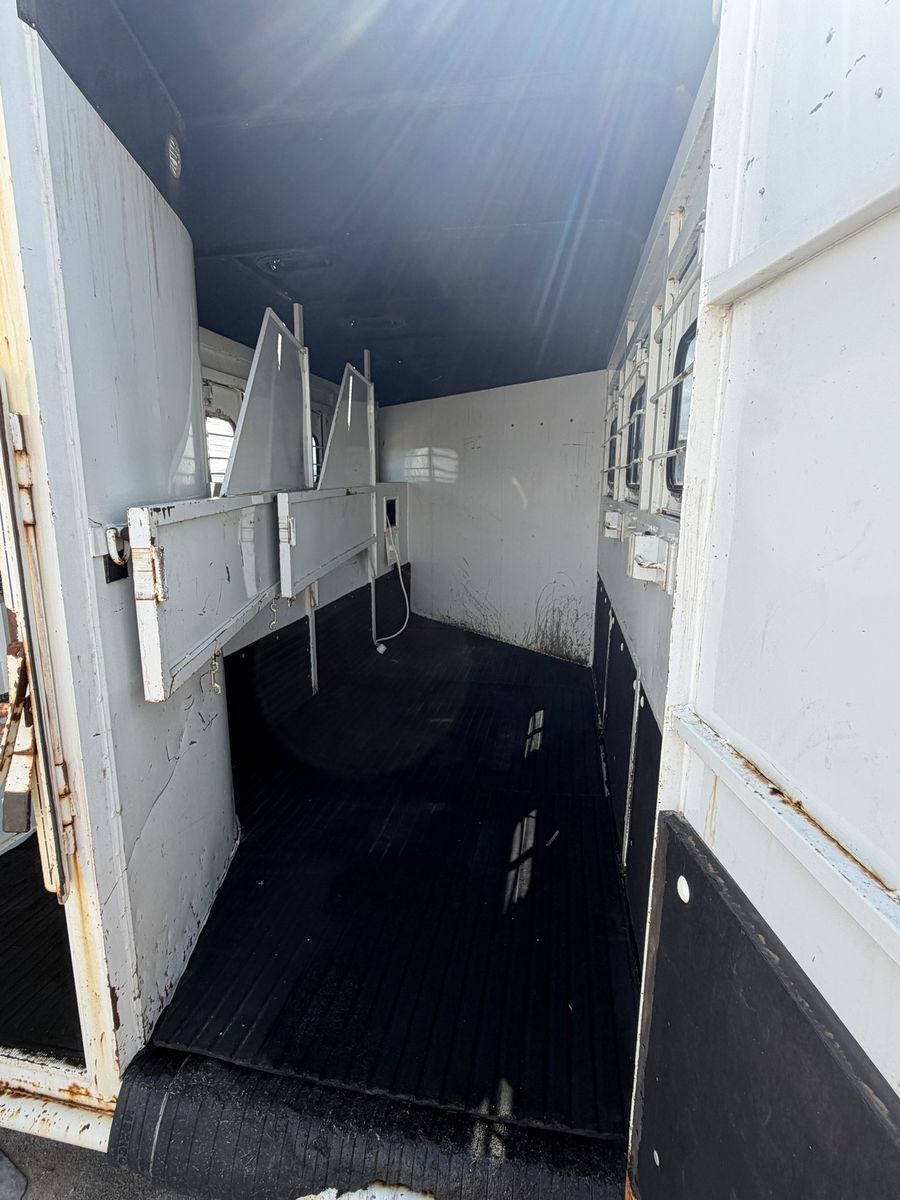 Main image 8