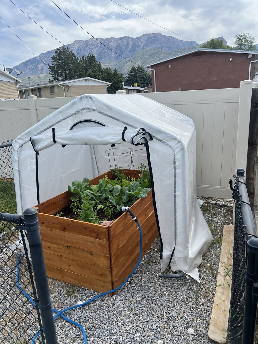 Harbor freight Greenhouse
