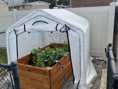 Harbor freight Greenhouse