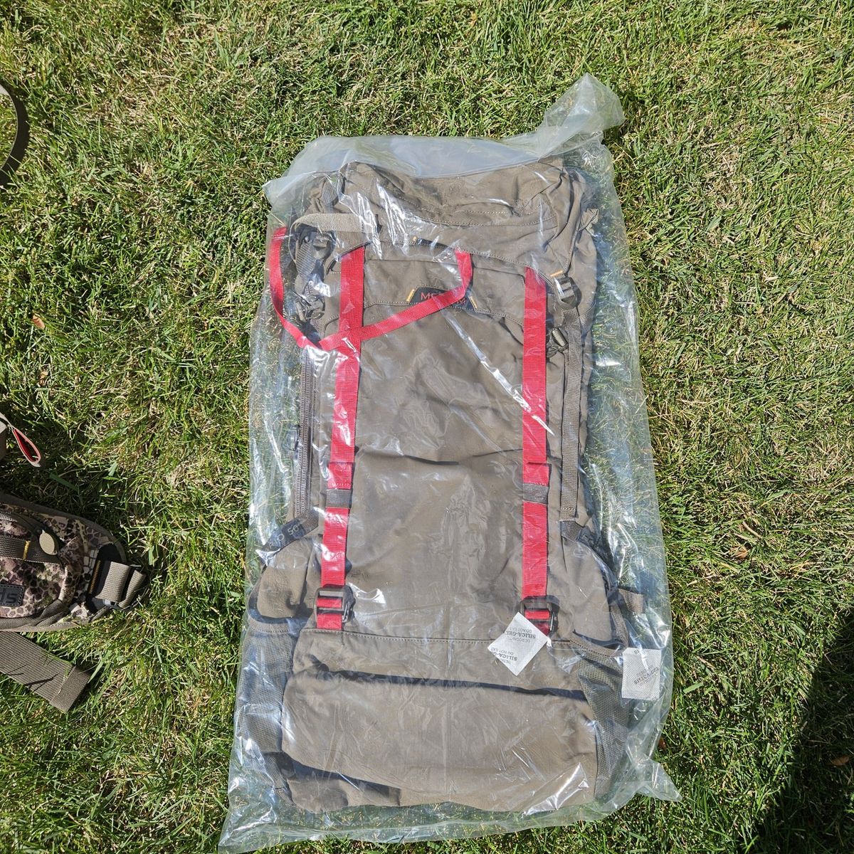 Main image 6