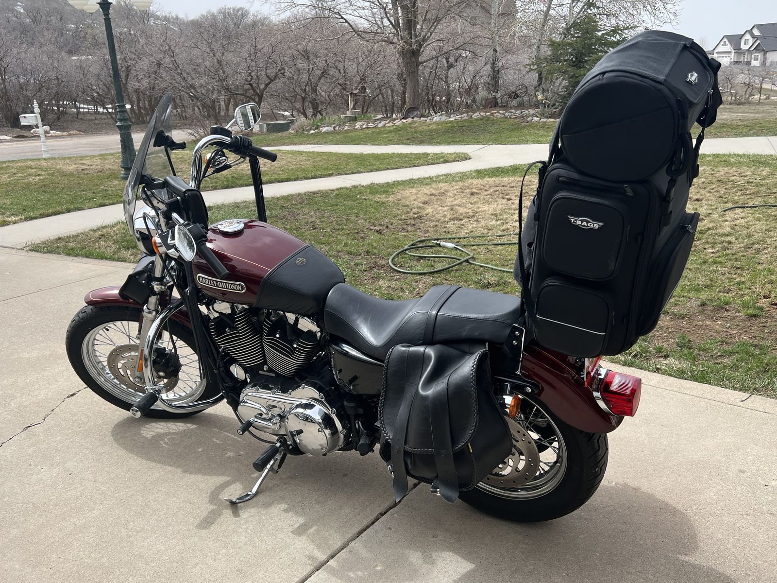 2009 Harley Sportster 1200 XL Low rider