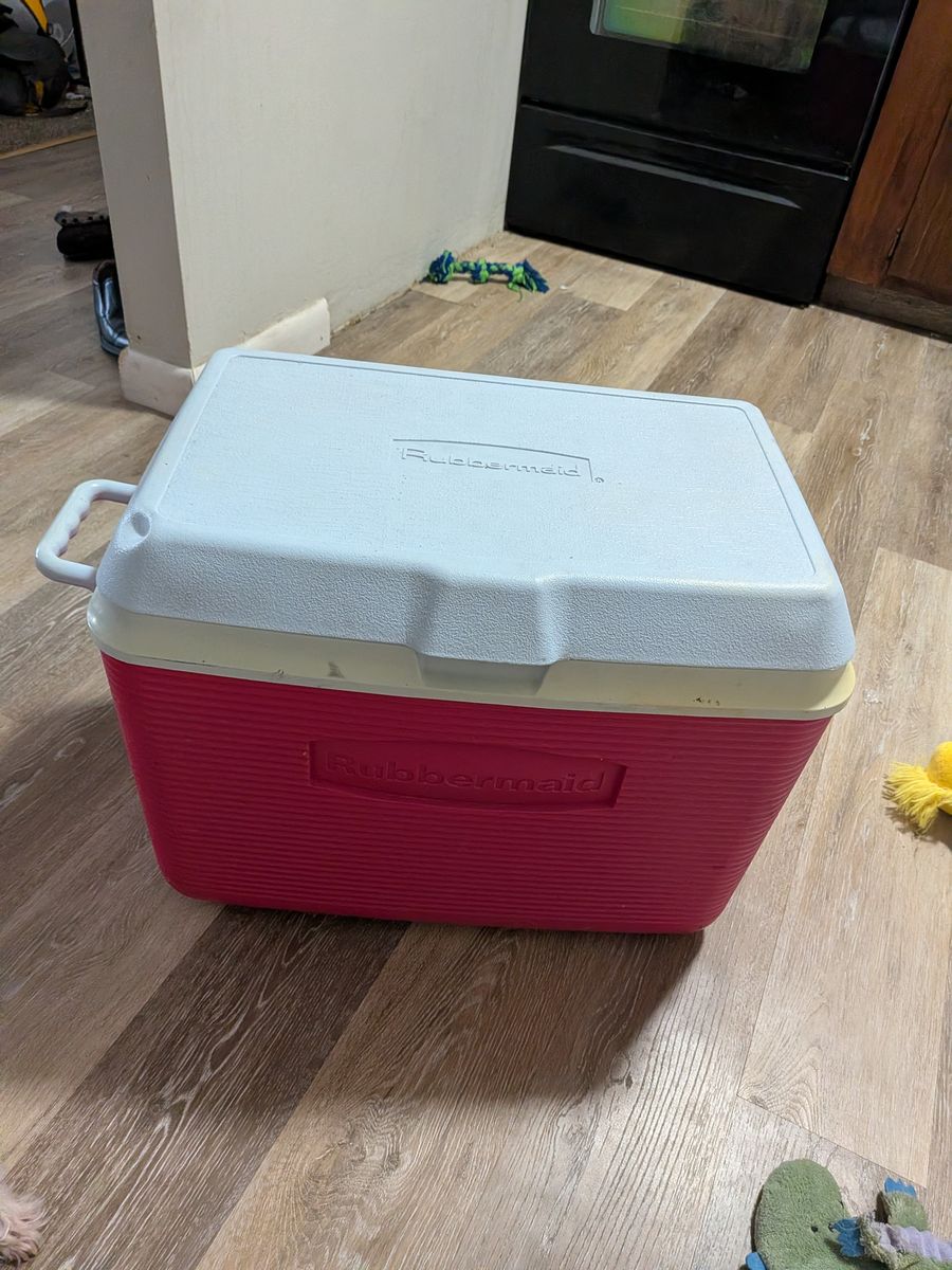 Cooler