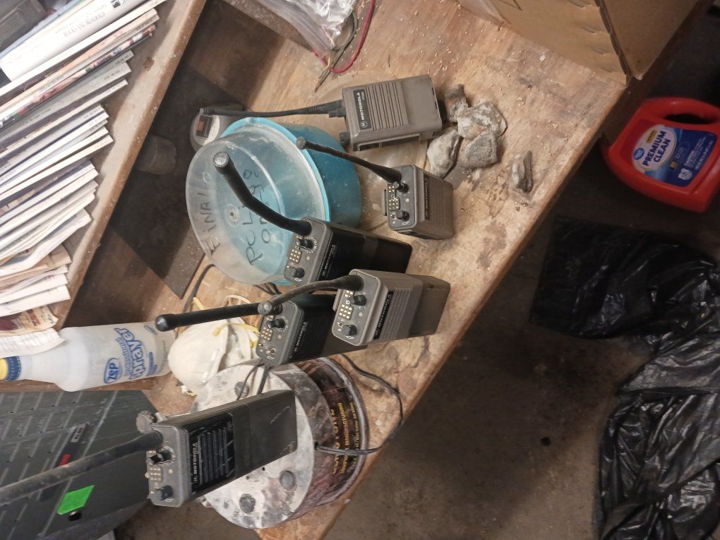 Main image 5