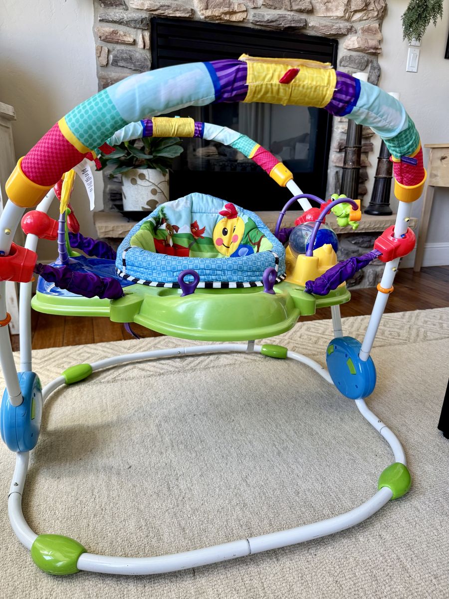 Baby Einstein baby bouncer