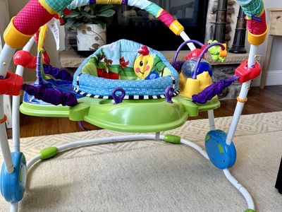 Baby Einstein baby bouncer
