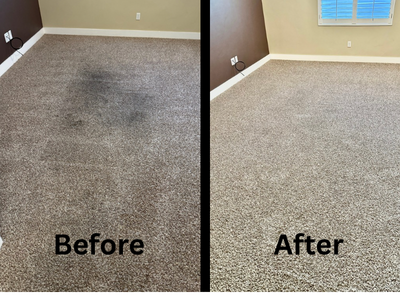 Carpet Cleaning | Carpet Cleaner | Tile Cleaning