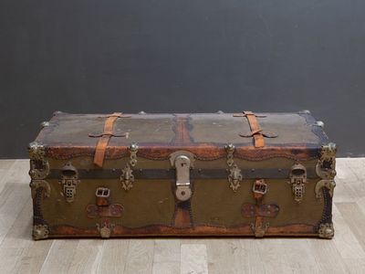 Old trunk